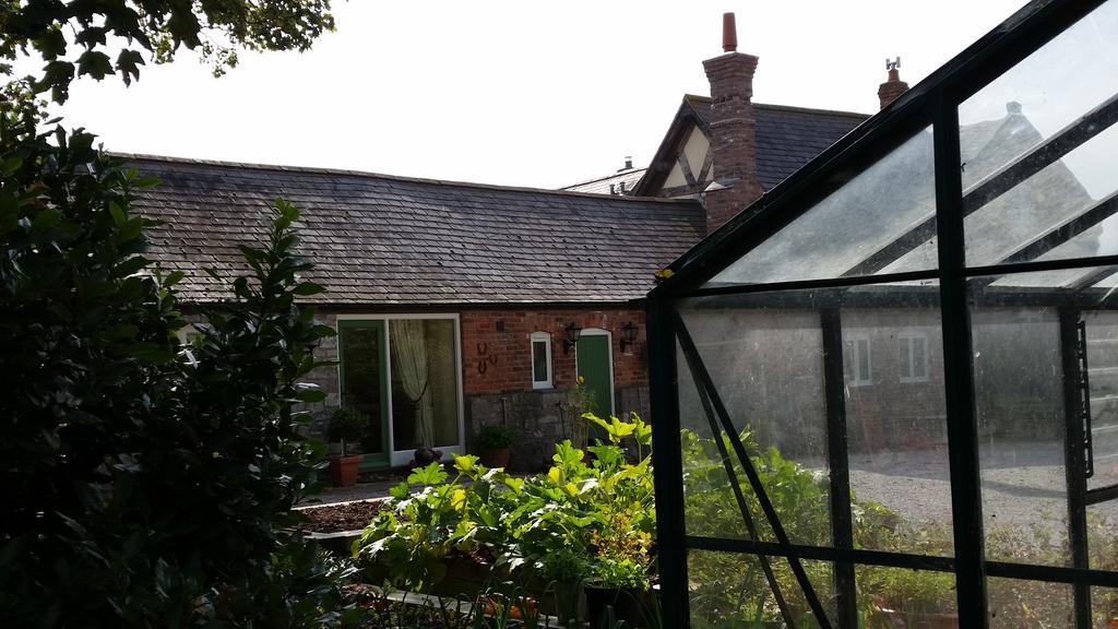 Ty Derw Country House B&B Рутин Екстериор снимка