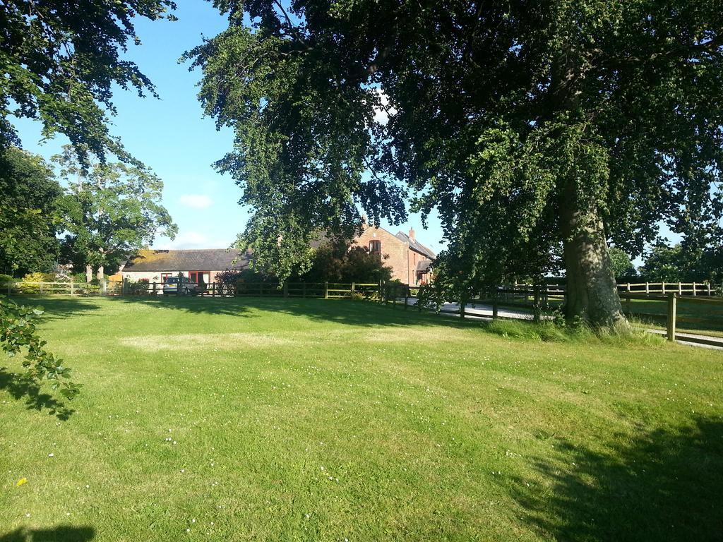 Ty Derw Country House B&B Рутин Екстериор снимка